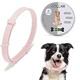 Collar antiparasitario Perros, antipulga y antigarrapata, 8 Meses de protección asegurada, Collar antipulgas Perro Grande Mediano (Rosa)