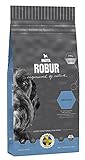 Bozita Perros Forro robur Senior 23/12, 1er Pack (1 x 11 kg)