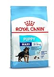 Royal Canin Alimento para Perros Maxi Puppy- 15 kg