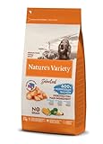 Nature's Variety Selected, Pienso para Perros Adultos Medianos y grandes, Sin cereales, con Salmón noruego sin espinas, 2kg