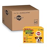 Pedigree Comida húmeda para perros sabores mixtos en salsa, paquete múltiple (4 paquete x 12 bolsas x 100 g)
