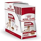 ROYAL CANIN Comida húmeda Adult Medium Trozos de Carne en Salsa para Perros Adultos de Razas Medianas - Caja 10 x 140 gr (Bolsitas)