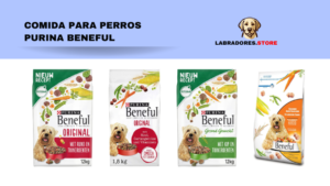 comida para perros Purina Beneful