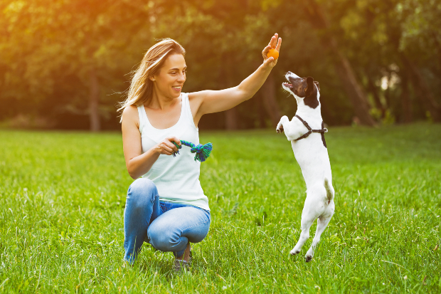 Mujer jugando con un perro joven: ¿cuánto tiempo tarda un perro?