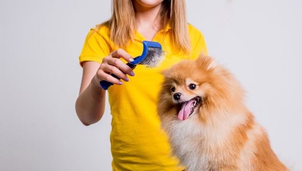 Mujer cepilla perro + para un hogar limpio con perro