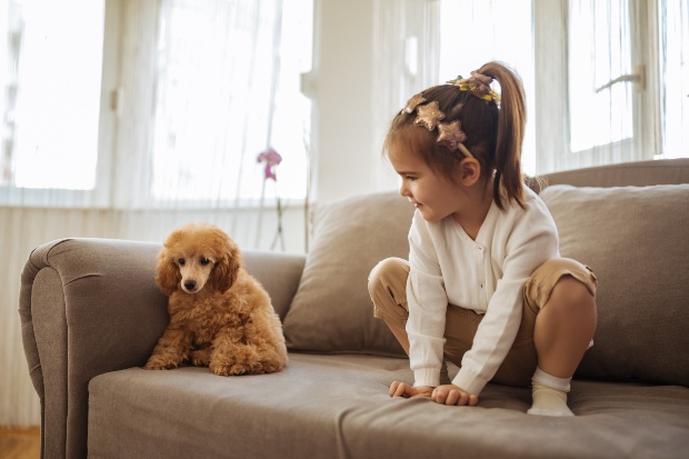Perro joven confundido con un niño pequeño en el sofá