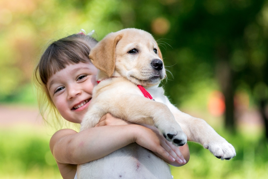 niña-con-un-cachorro-golden-retriever comprar o adoptar un perro