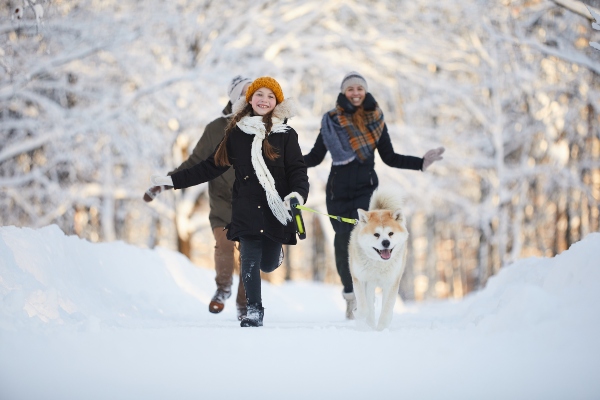 caminatas de invierno con perros regiones