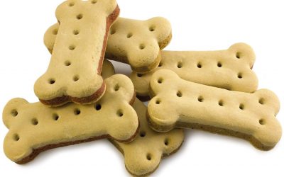 galletas perros